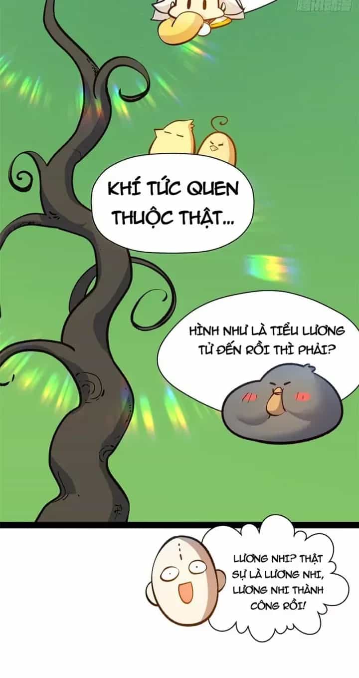 Đỉnh Cấp Khí Vận, Lặng Lẽ Tu Luyện Ngàn Năm - Chương 301 - ảnh 40