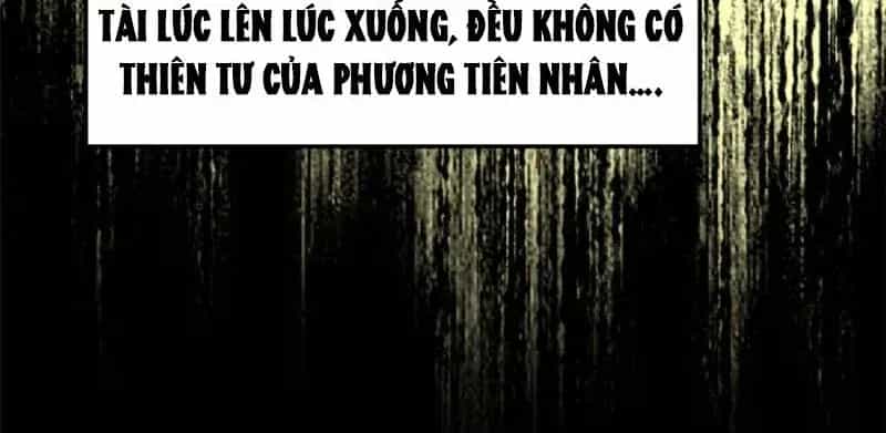 Đỉnh Cấp Khí Vận, Lặng Lẽ Tu Luyện Ngàn Năm - Chương 302 - ảnh 12