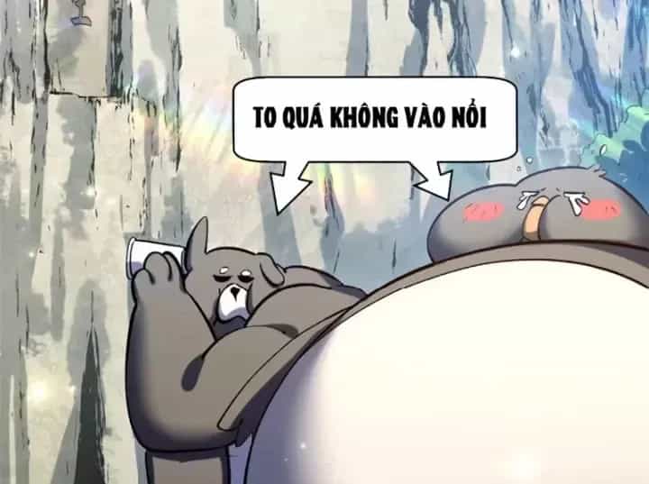 Đỉnh Cấp Khí Vận, Lặng Lẽ Tu Luyện Ngàn Năm - Chương 303 - ảnh 27