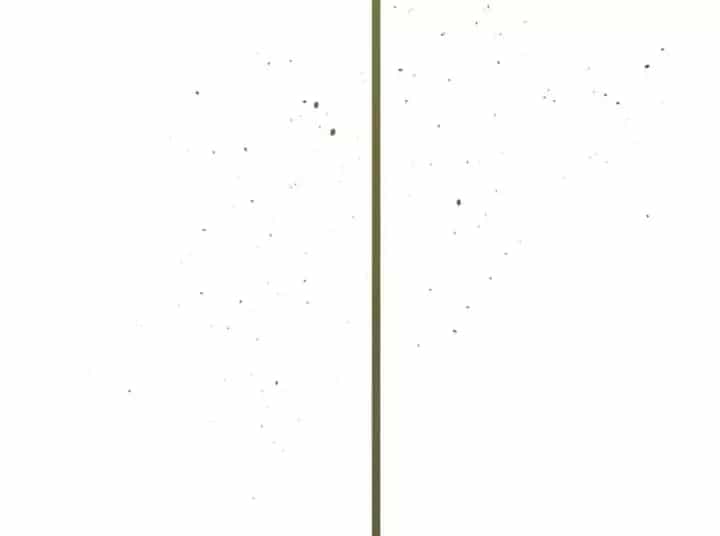 Đỉnh Cấp Khí Vận, Lặng Lẽ Tu Luyện Ngàn Năm - Chương 308 - ảnh 135