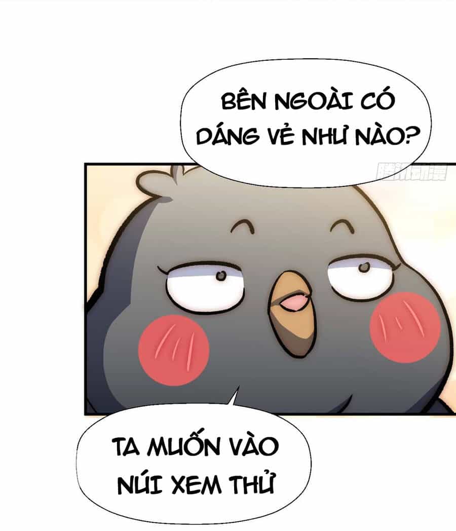 Đỉnh Cấp Khí Vận, Lặng Lẽ Tu Luyện Ngàn Năm - Chương 46 - ảnh 31