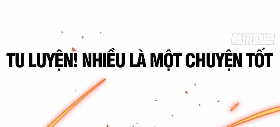Đỉnh Cấp Khí Vận, Lặng Lẽ Tu Luyện Ngàn Năm - Chương 8 - ảnh 35