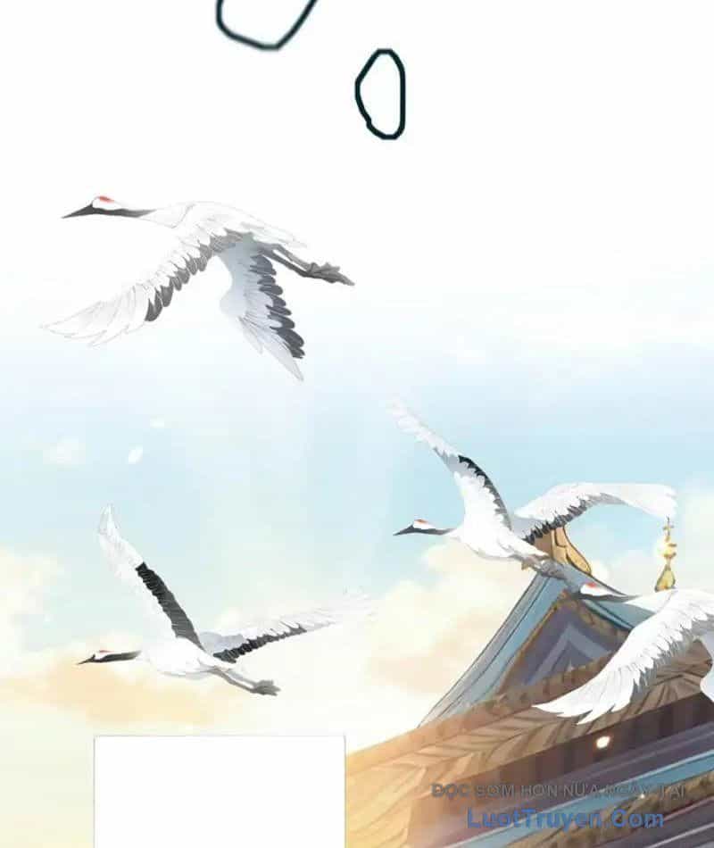 Đồ Đệ Nữ Đế Của Ta Muốn Hắc Hóa! - Chương 79 - ảnh 11