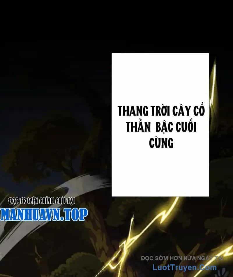 Đồ Đệ Nữ Đế Của Ta Muốn Hắc Hóa! - Chương 79 - ảnh 4