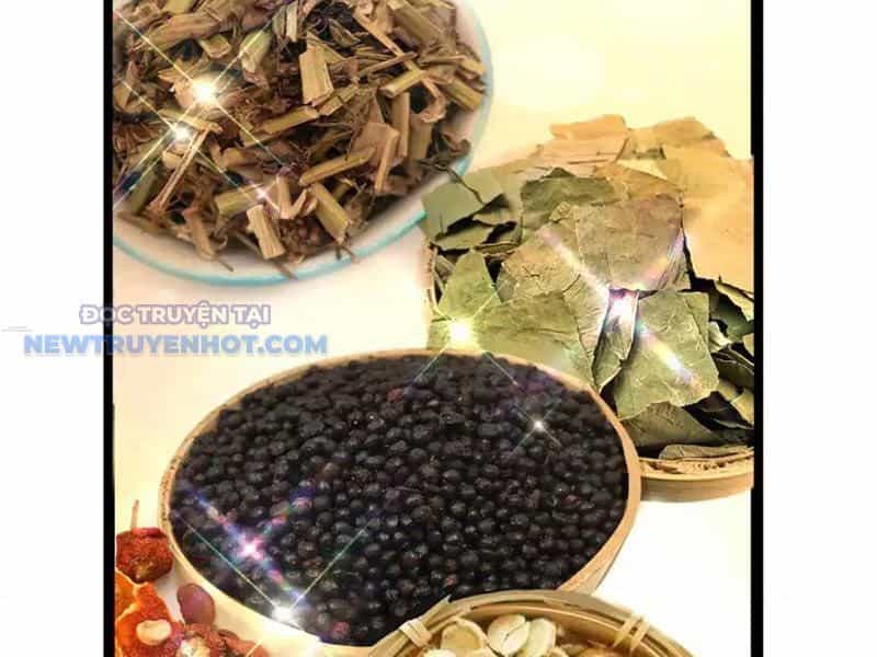 Đô Thị Cực Phẩm Y Thần - Chương 164 - ảnh 87