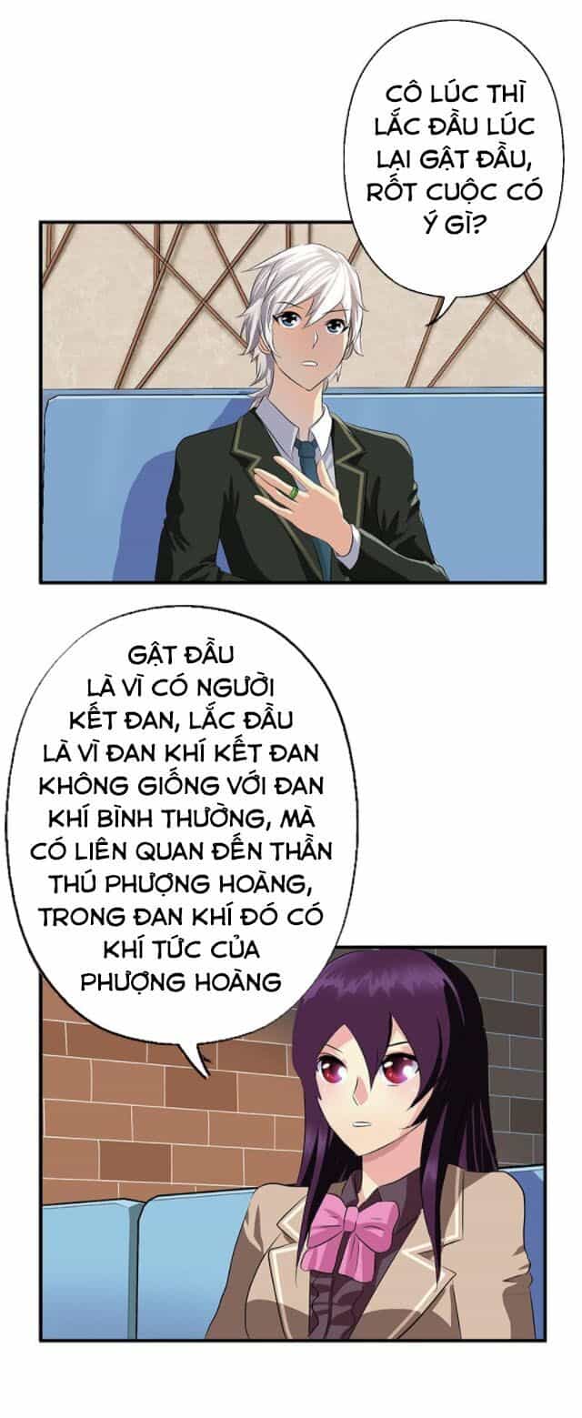 Đô Thị Cực Phẩm Y Tiên - Chương 386 - ảnh 11