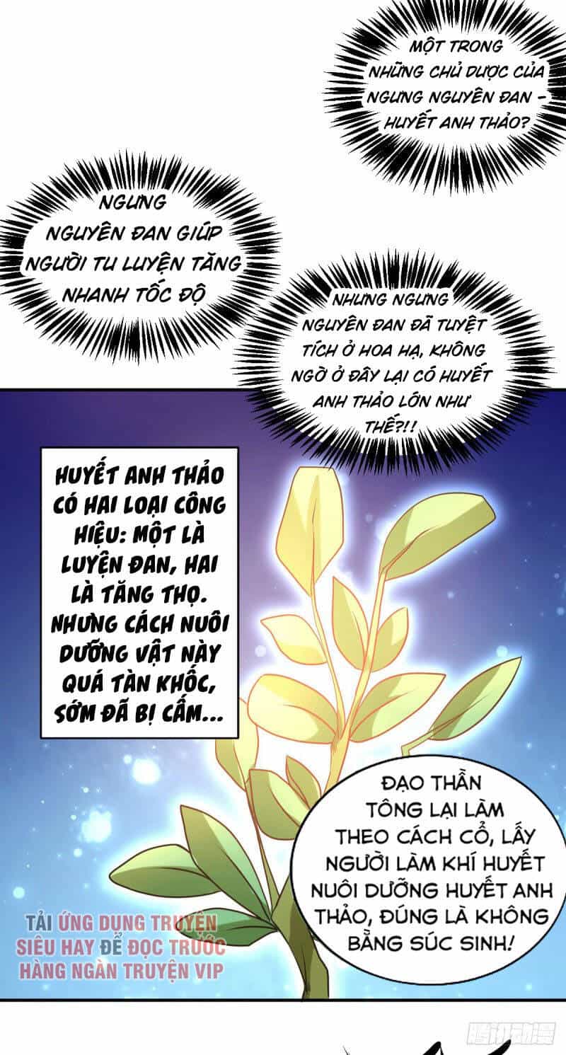 Đô Thị Đỉnh Phong Cao Thủ - Chương 229 - ảnh 16