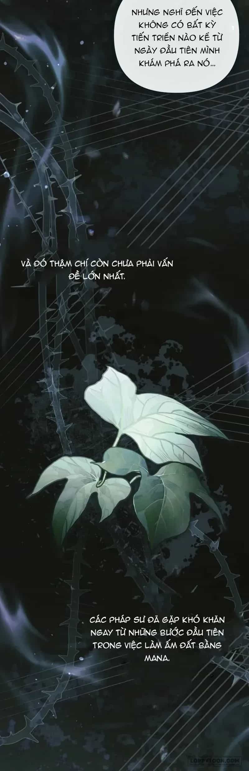 Độc Chiếm Sự Sủng Ái Của Công Nương Út, Mọi Người Đều Ám Ảnh Tôi - Chương 45 - ảnh 18