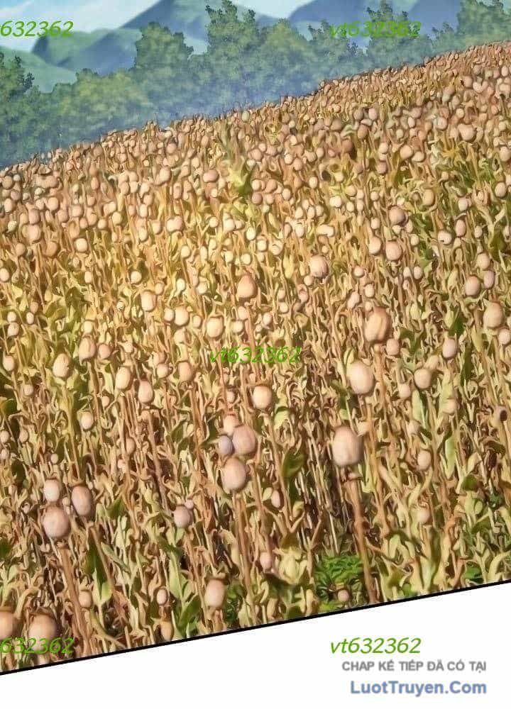 Độc Chiếm Thiên Cơ - Chương 37 - ảnh 12