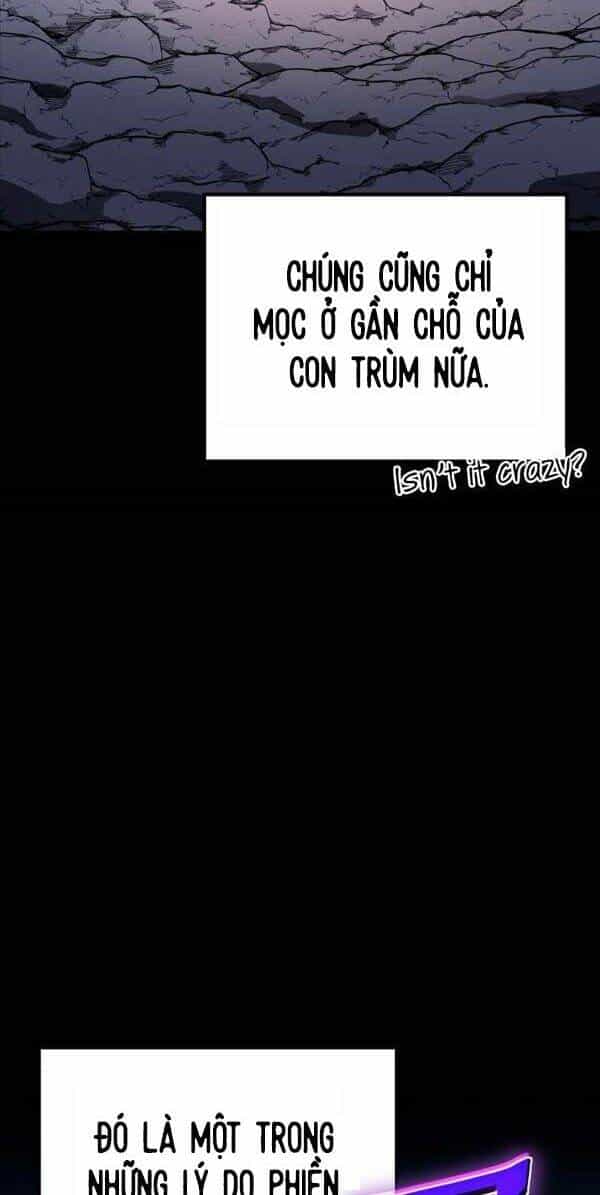 Độc Cô Dược Sư - Chương 11 - ảnh 31
