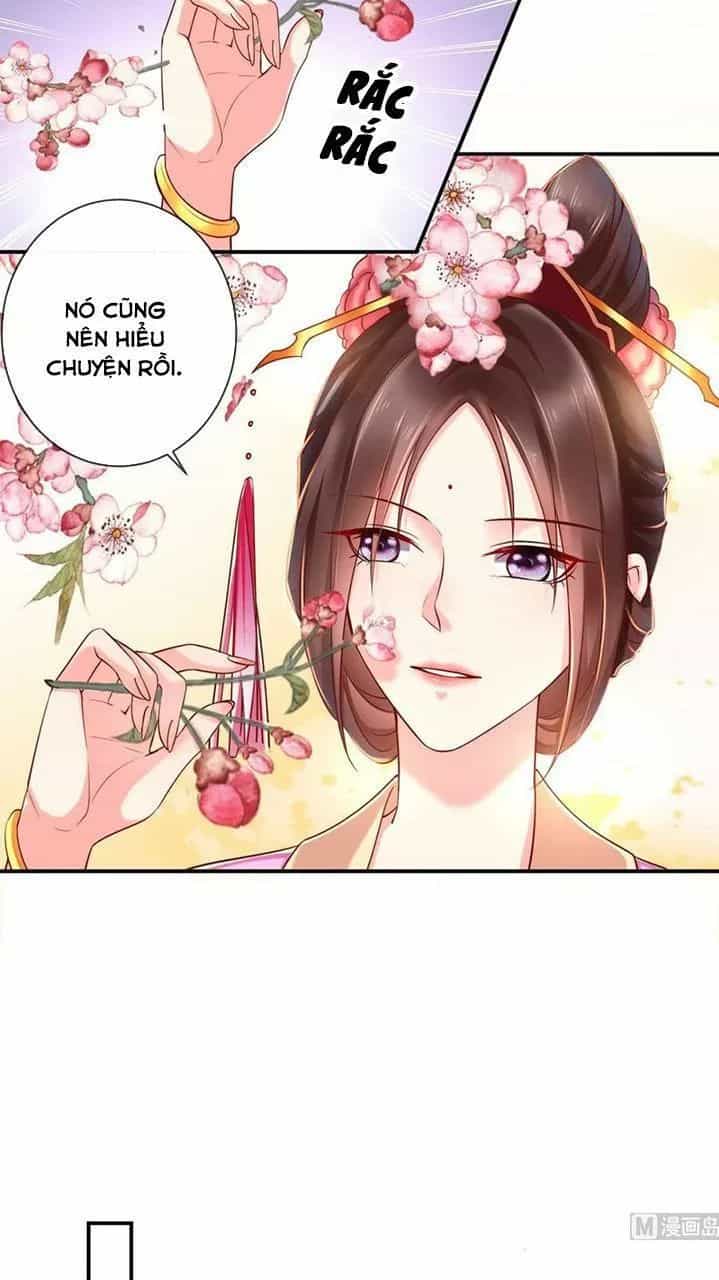 Độc Phi Ngu Ngốc Không Thể Chọc - Chương 133 - ảnh 7