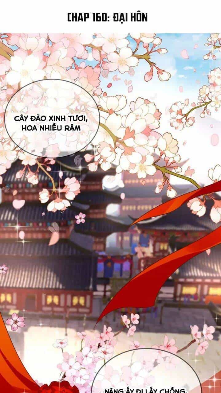 Độc Phi Ngu Ngốc Không Thể Chọc - Chương 160 - ảnh 1