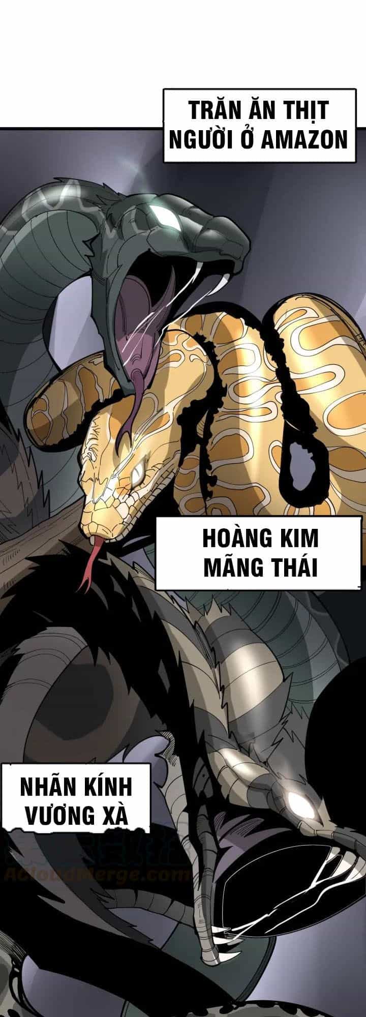 Độc Thủ Vu Y - Chương 91 - ảnh 34