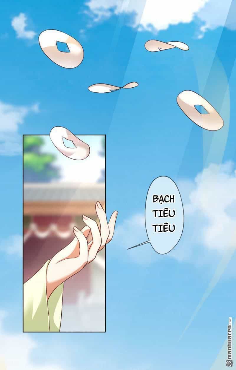 Độc Y Cuồng Phi - Chương 4 - ảnh 27