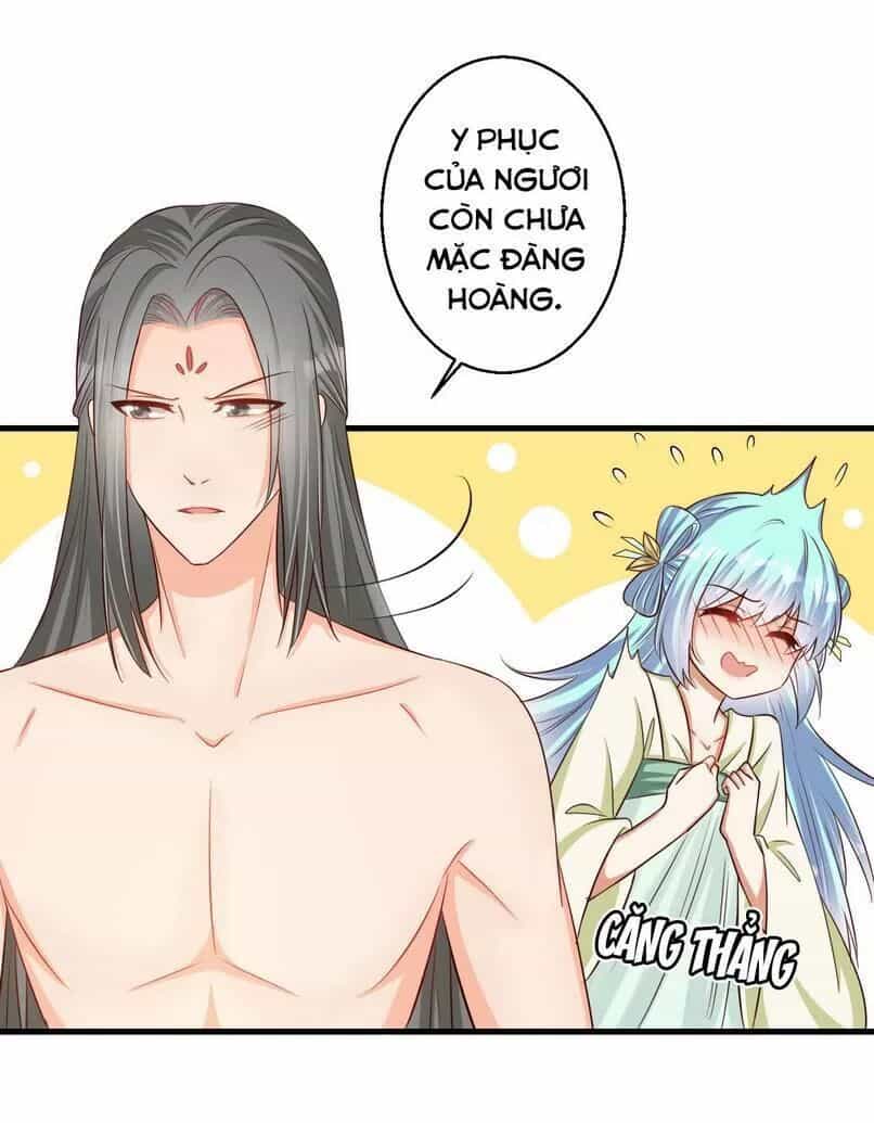 Độc Y Cuồng Phi - Chương 35 - ảnh 21