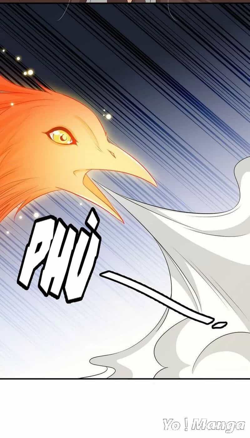 Độc Y Cuồng Phi - Chương 74 - ảnh 25