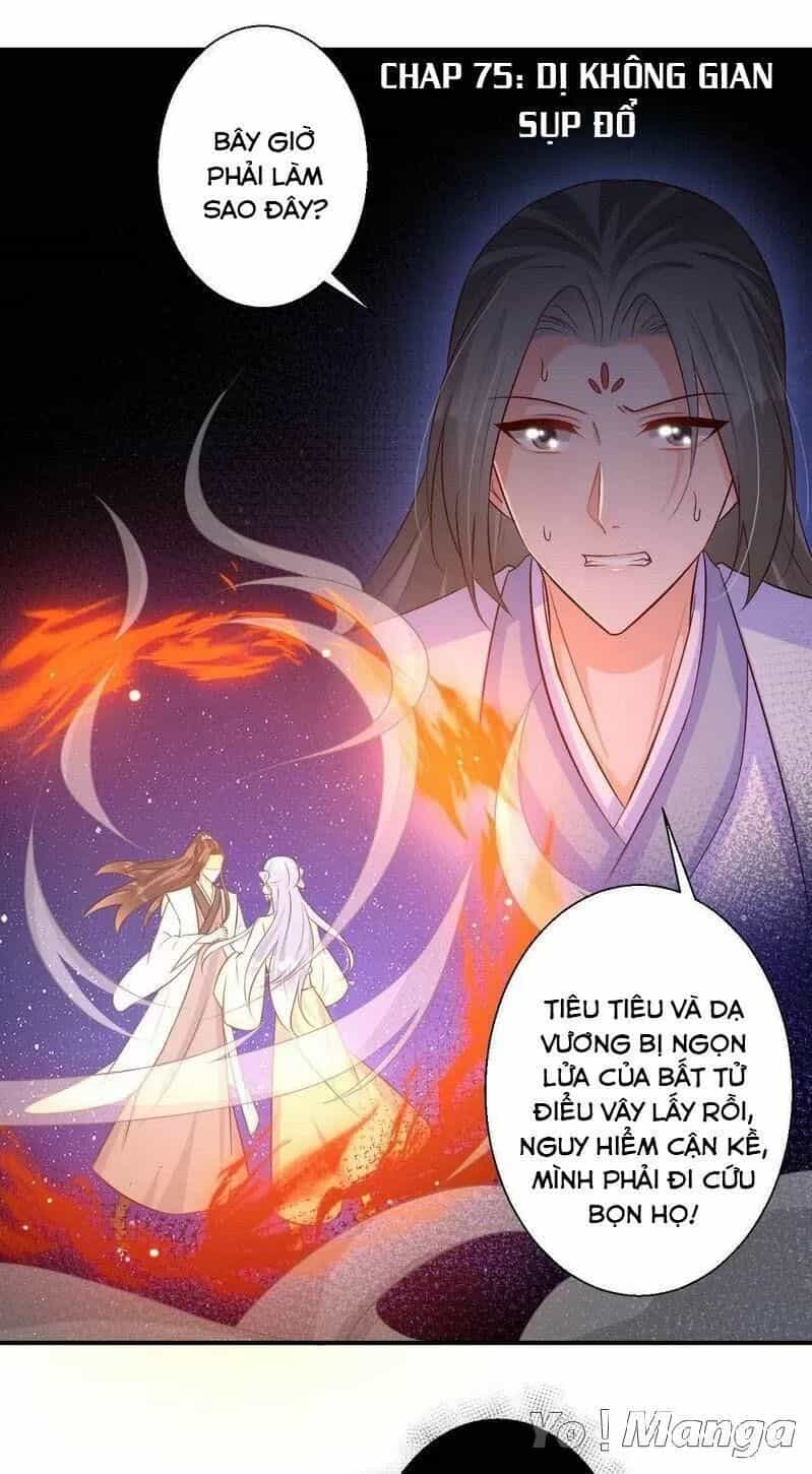 Độc Y Cuồng Phi - Chương 75 - ảnh 1