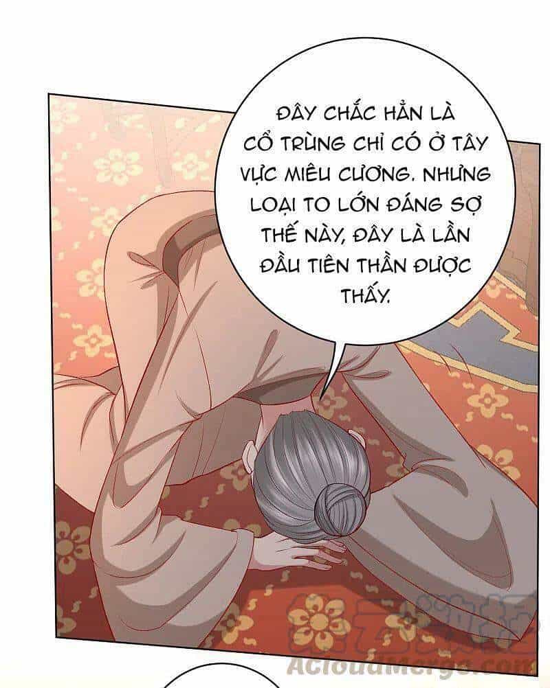 Độc Y Đích Nữ - Chương 229 - ảnh 5