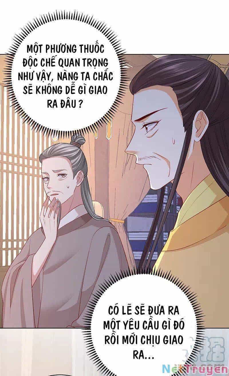 Độc Y Đích Nữ - Chương 232 - ảnh 5
