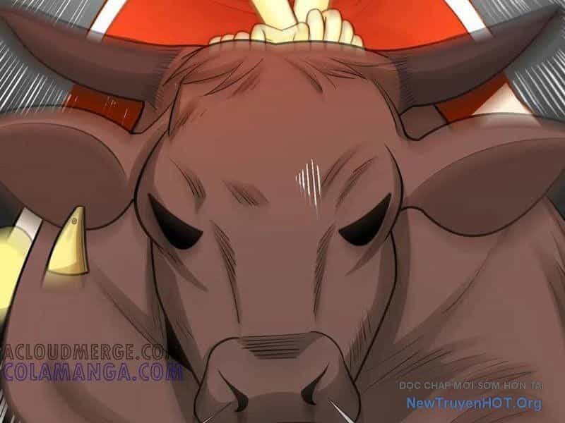 Đối Mặt Với Bệnh Tâm Thần, Ma Quỷ Chẳng Là Cái Thá Gì - Chương 144 - ảnh 27