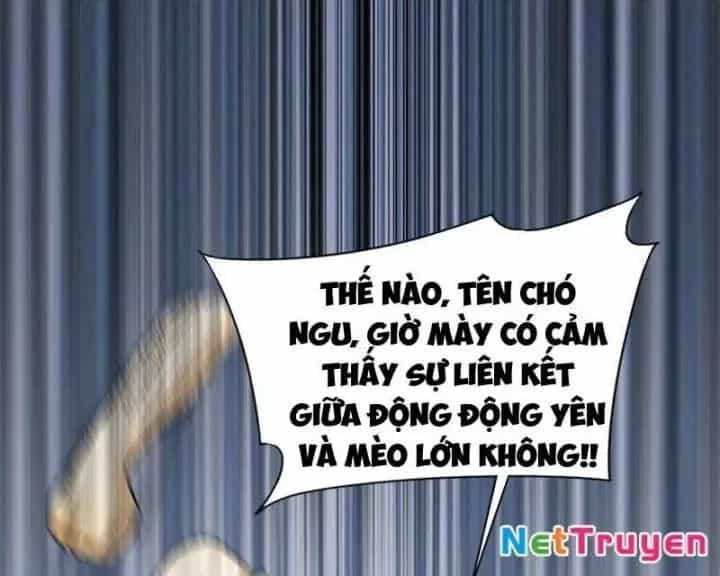 Đối Mặt Với Bệnh Tâm Thần, Ma Quỷ Chẳng Là Cái Thá Gì - Chương 156 - ảnh 43