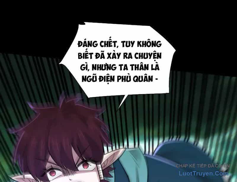 Đối Mặt Với Bệnh Tâm Thần, Ma Quỷ Chẳng Là Cái Thá Gì - Chương 184 - ảnh 58