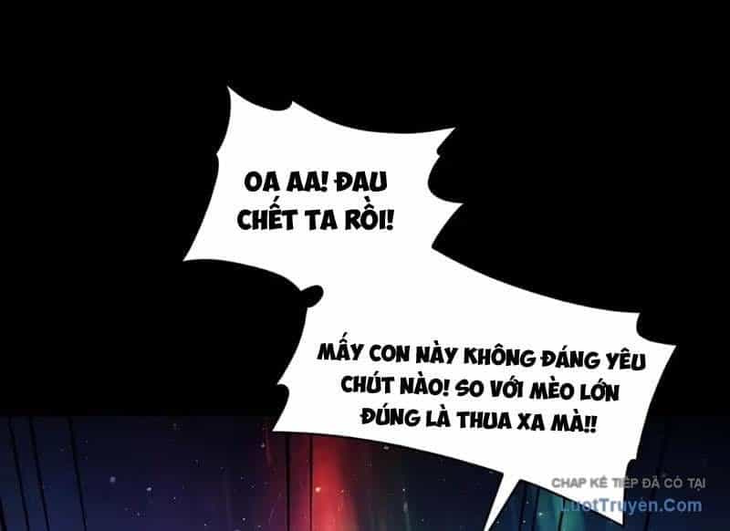 Đối Mặt Với Bệnh Tâm Thần, Ma Quỷ Chẳng Là Cái Thá Gì - Chương 221 - ảnh 35