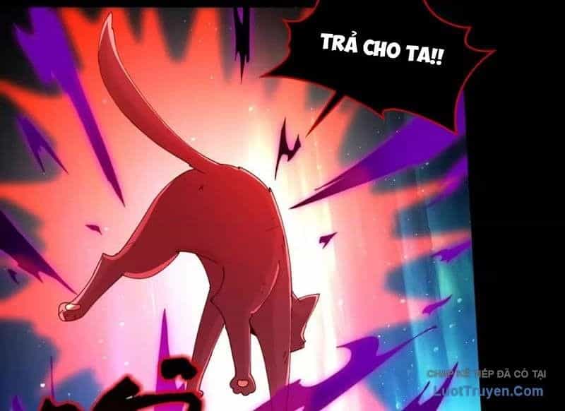 Đối Mặt Với Bệnh Tâm Thần, Ma Quỷ Chẳng Là Cái Thá Gì - Chương 221 - ảnh 62