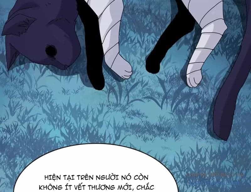 Đối Mặt Với Bệnh Tâm Thần, Ma Quỷ Chẳng Là Cái Thá Gì - Chương 221 - ảnh 84