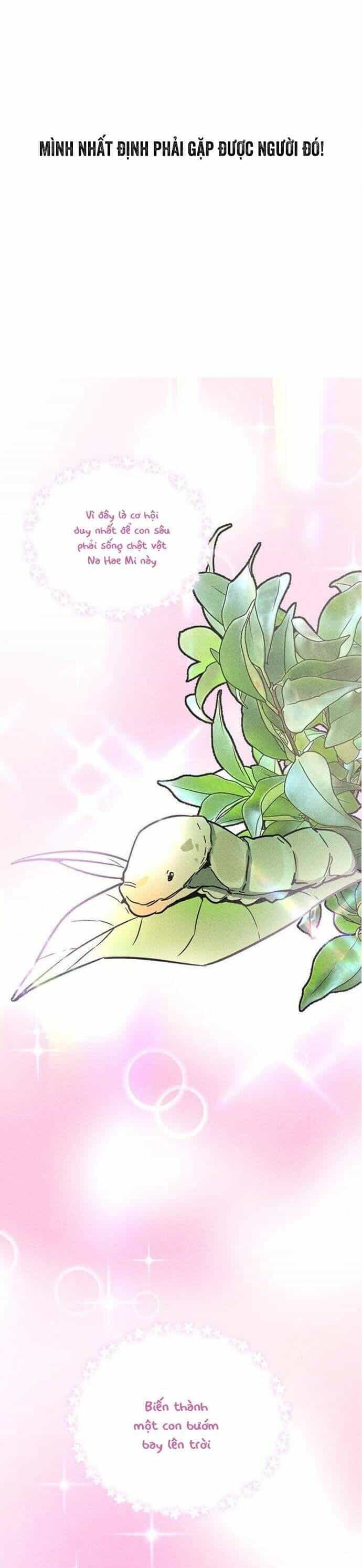 Đời Tư Của Chị Tôi - Chương 5 - ảnh 18