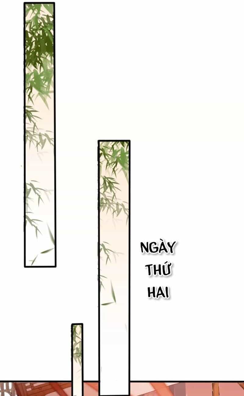 Đông Cung Giai Hạ Tù - Chương 11 - ảnh 13