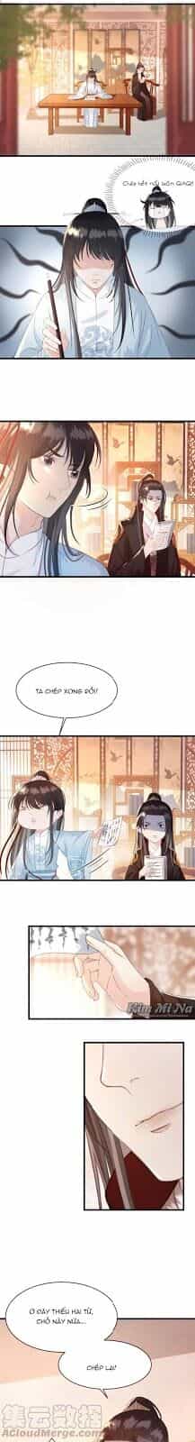 Đông Cung Giai Hạ Tù - Chương 19 - ảnh 5