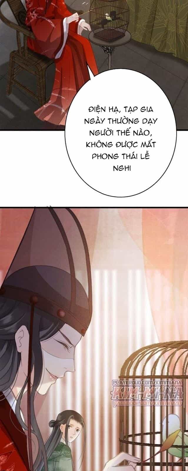 Đông Cung Giai Hạ Tù - Chương 41 - ảnh 40