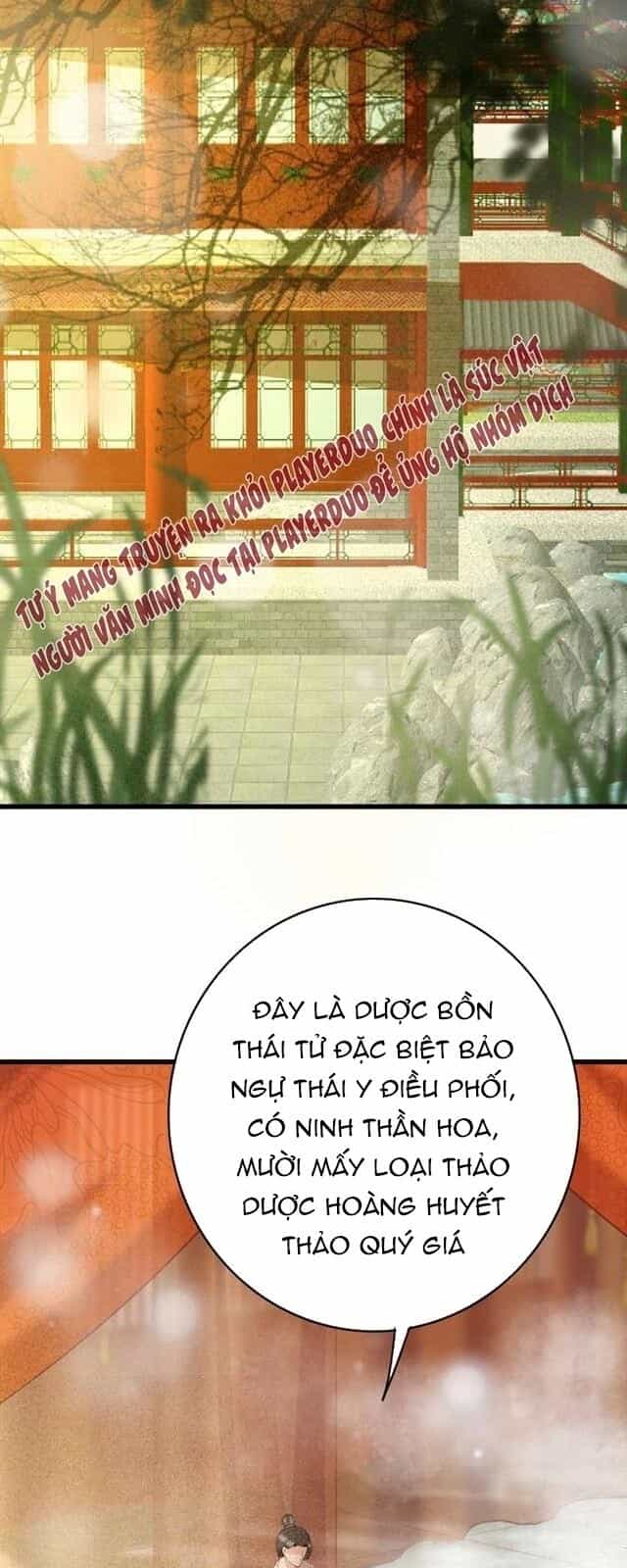 Đông Cung Giai Hạ Tù - Chương 42 - ảnh 19