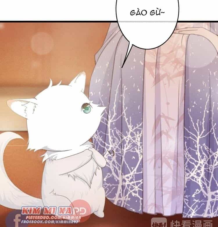 Đông Cung Giai Hạ Tù - Chương 49 - ảnh 9