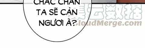 Đông Cung Giai Hạ Tù - Chương 83 - ảnh 16