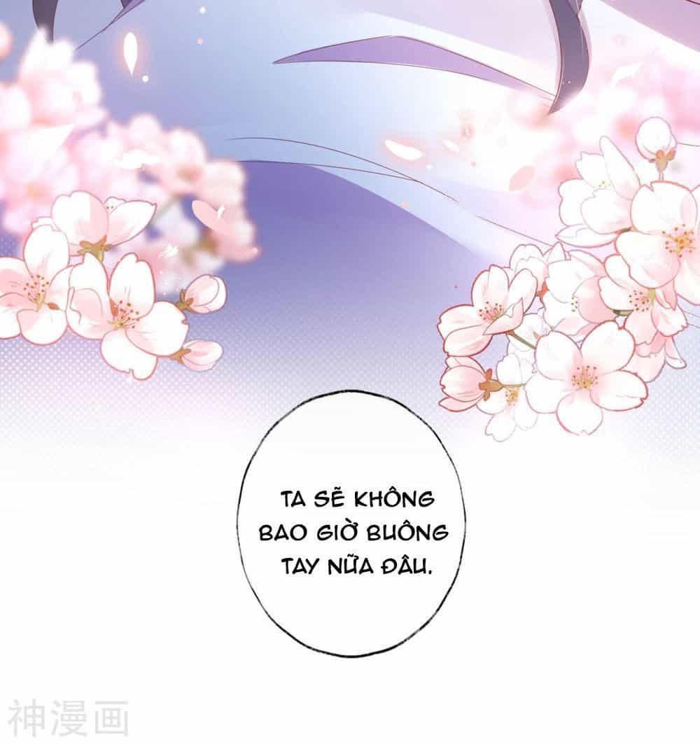 Dòng Máu Ngọt Ngào - Chương 15 - ảnh 33