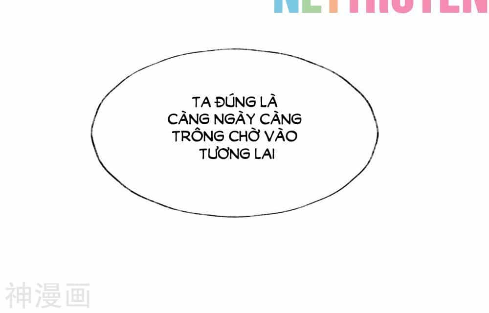 Dòng Máu Ngọt Ngào - Chương 22 - ảnh 31