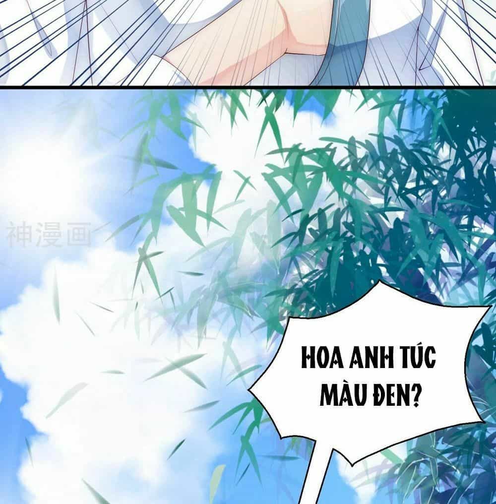 Dòng Máu Ngọt Ngào - Chương 2 - ảnh 43