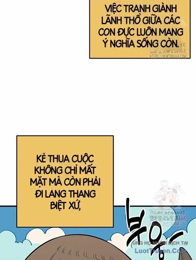 Động Vật Tiền Sử - Chương 21 - ảnh 36