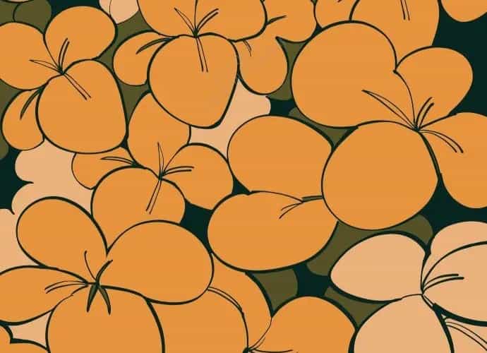 Động Vật Tiền Sử - Chương 5 - ảnh 138