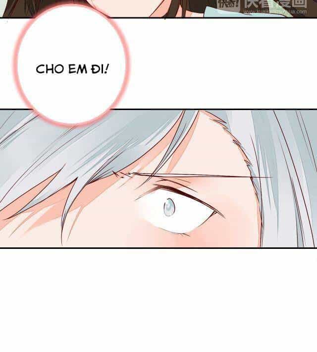 Đốt Đào Hoa - Chương 53 - ảnh 13