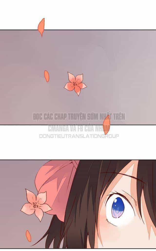 Đốt Đào Hoa - Chương 62 - ảnh 4