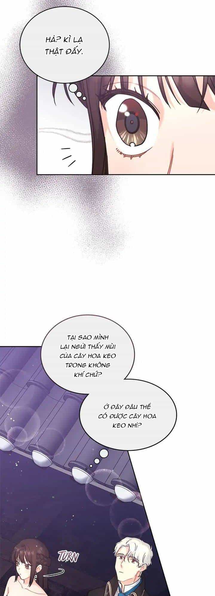 Du Khách Vào Ban Đêm Bí Ẩn - Chương 4 - ảnh 20