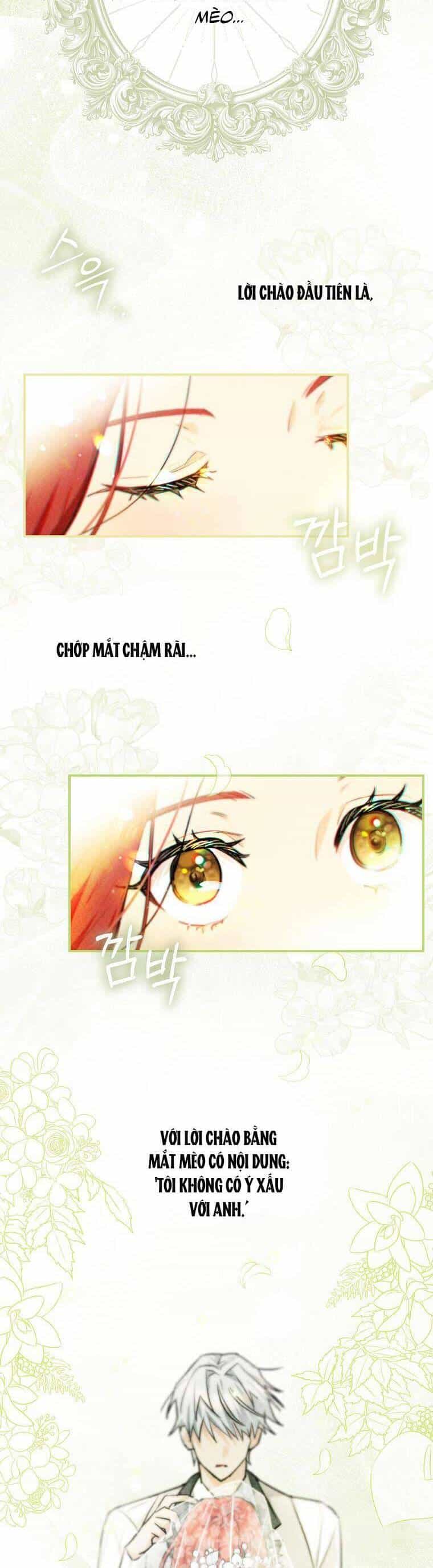 Dù Là Ác Nữ Nhưng Tôi Vẫn Phải Chăm Sóc Mèo - Chương 1 - ảnh 47