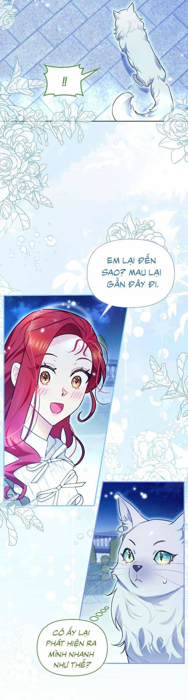 Dù Là Ác Nữ Nhưng Tôi Vẫn Phải Chăm Sóc Mèo - Chương 12 - ảnh 31
