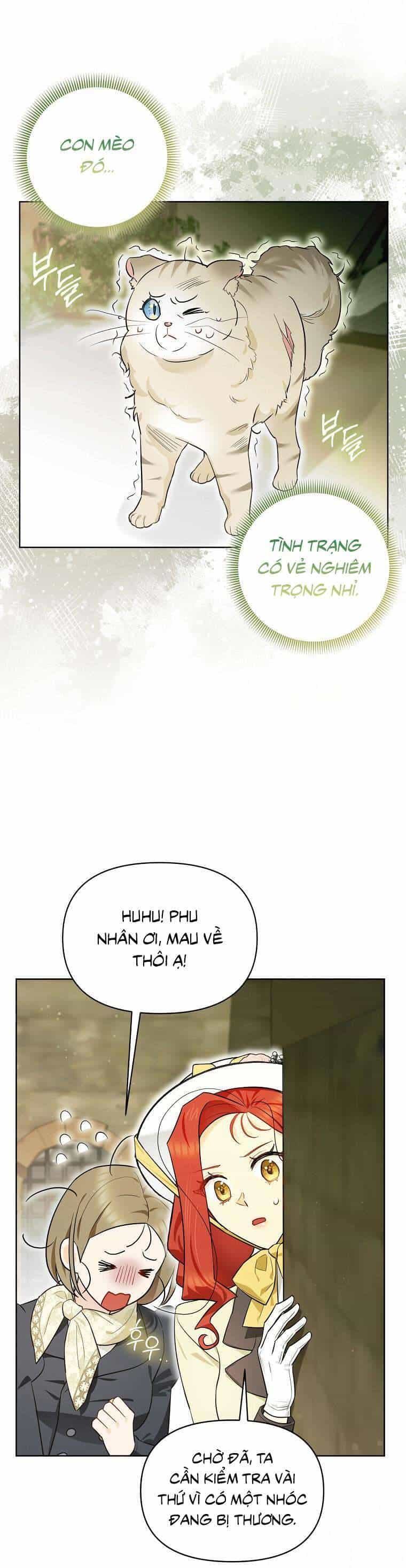 Dù Là Ác Nữ Nhưng Tôi Vẫn Phải Chăm Sóc Mèo - Chương 13 - ảnh 19