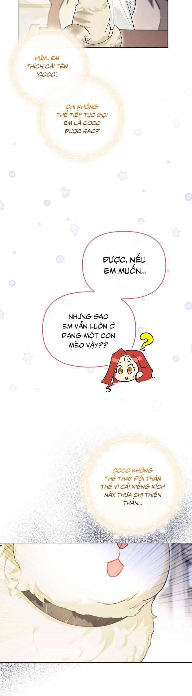 Dù Là Ác Nữ Nhưng Tôi Vẫn Phải Chăm Sóc Mèo - Chương 14 - ảnh 33