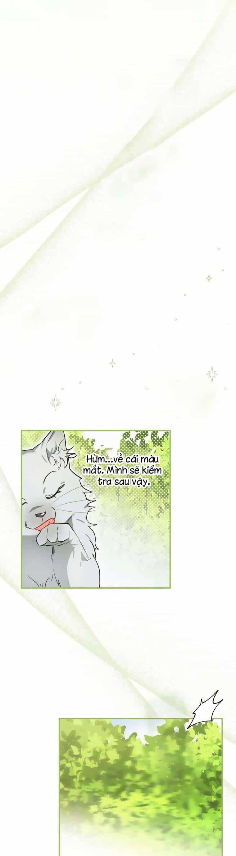 Dù Là Ác Nữ Nhưng Tôi Vẫn Phải Chăm Sóc Mèo - Chương 9 - ảnh 10