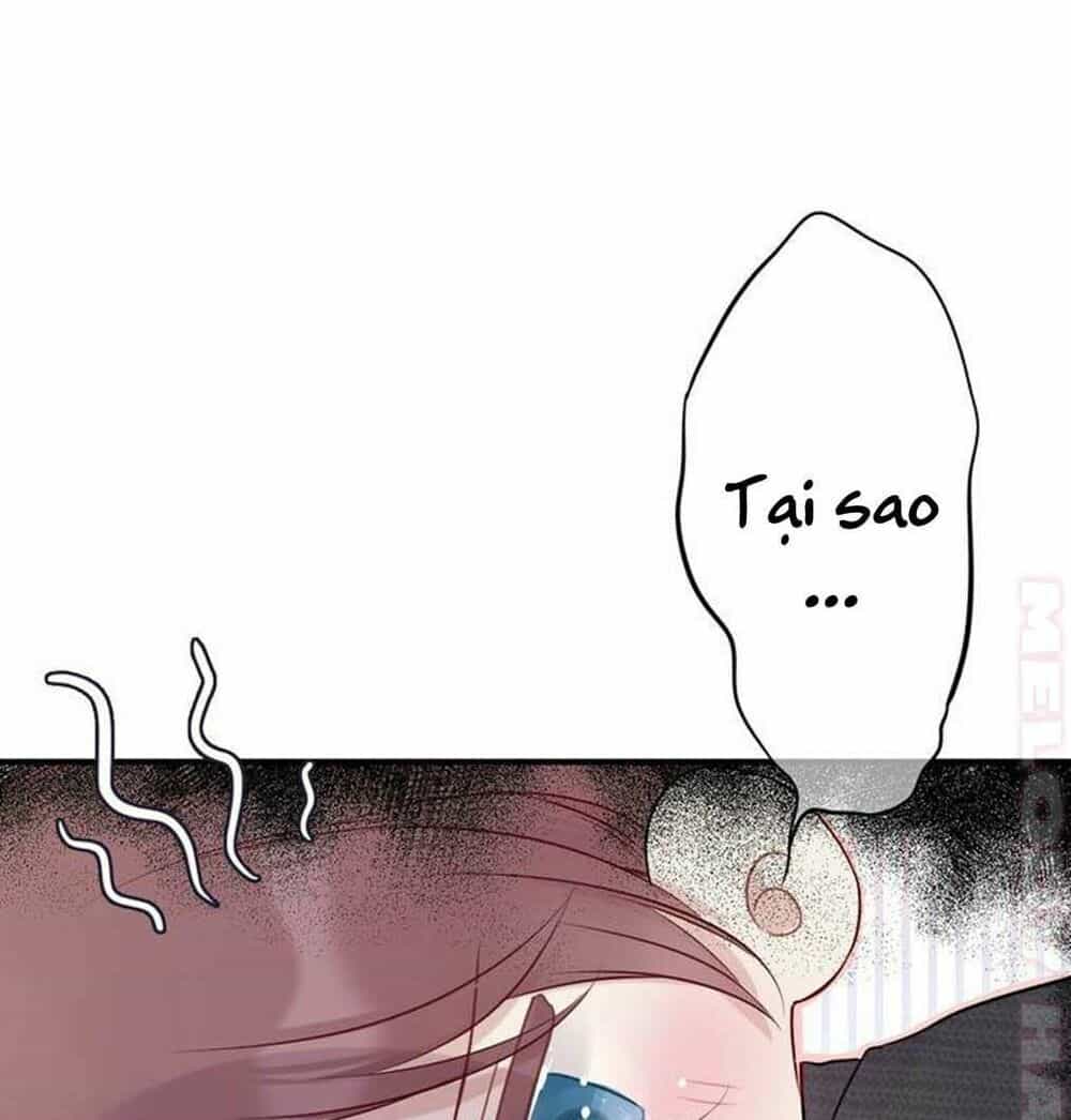 Đừng Để Tôi Bảo Vệ - Chương 19 - ảnh 3